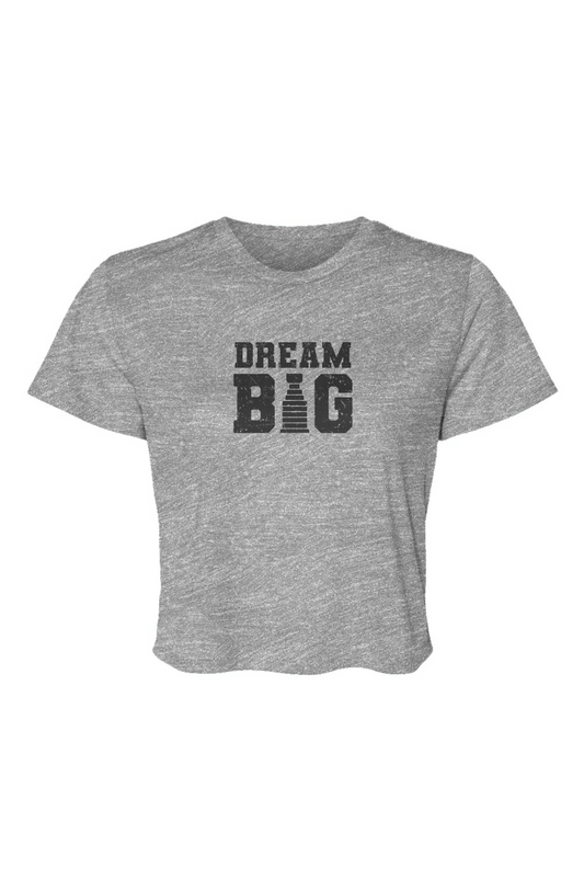 Barn Beauty Dream Big Cropped Tee Grey | Barn Garb Hockey Threads
