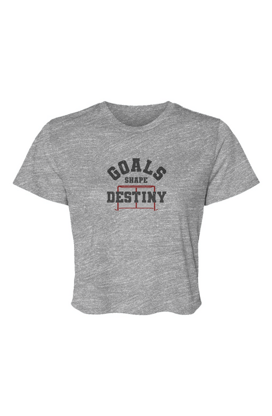 Barn Beauty Goals Shape Destiny Net Cropped Tee Grey | Barn Garb Hockey Threads