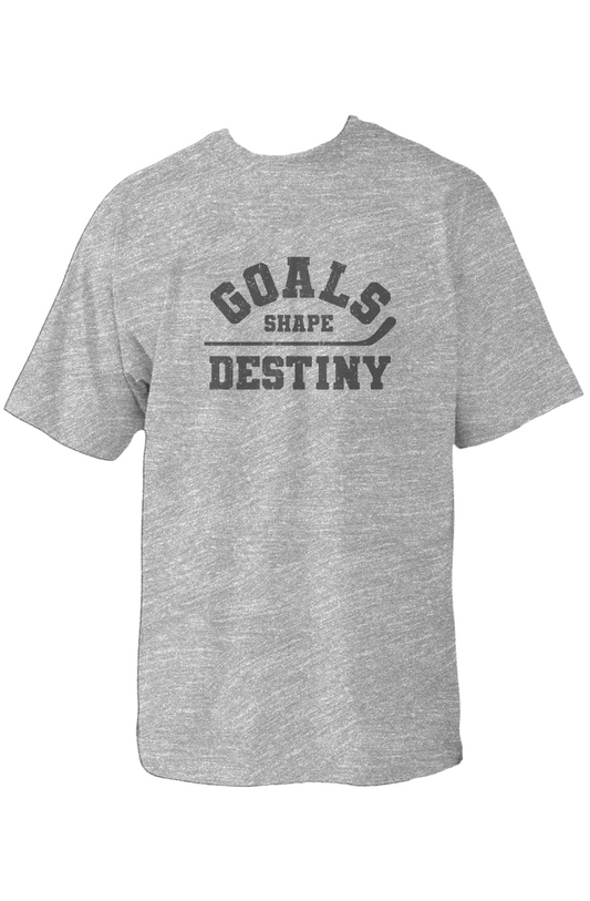 Goals Shape Destiny 90s Throwback Tee Grey | Barn Garb Hockey Threads